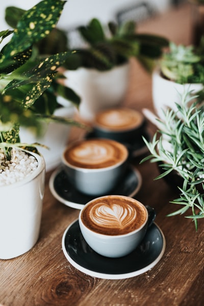 Reviews Coffee Shops Cancun