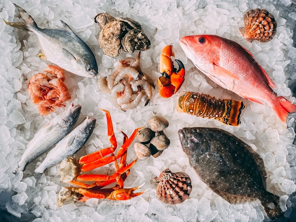 Location Fresh fish and shellfish laid out on crushed ice